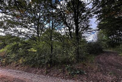 RECO, Teren intravilan, Zona Vadu Crisului, Bihor - 1