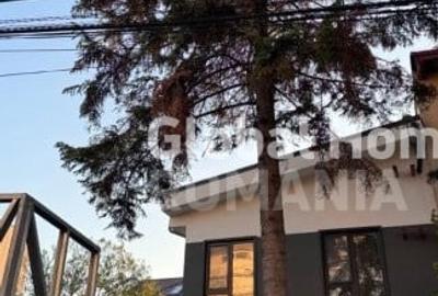 Casă individuală cu 4 camere cu Canalizare în Băneasa - 15