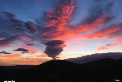 Casă cu 3 camere cu Teren 1300 Mp în Sadu - 5