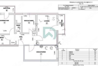 Apartament cu 3 camere decomandat, mobilat în Turnișor - 13