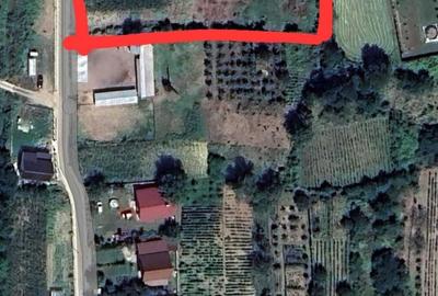 Spațiu comercial, în Măgura - 1