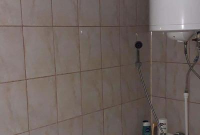 Casă cu 4 camere cu Teren 5000 Mp în Valea Mărului - 7