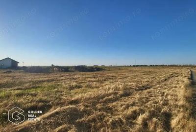 Terenuri de vanzare in comuna Sag Timis - 2