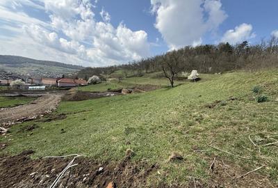 Spațiu comercial, în Central - 3