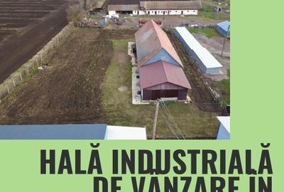 Spațiu industrial, în Cernat - 1