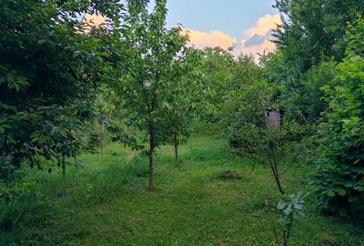 Casă individuală cu 4 camere cu Teren 530 Mp în Răzvad - 4