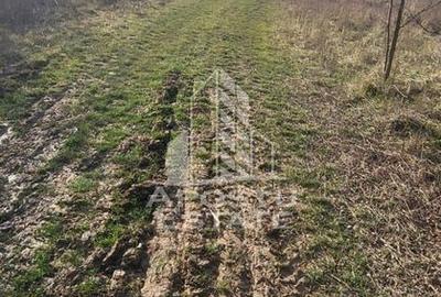 Teren de 5000 mp, în Almaș