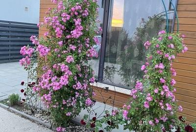 Vilă Individuală de Lux - 3