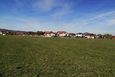 Teren de 934 mp, în Ghimbav Livadă - 5