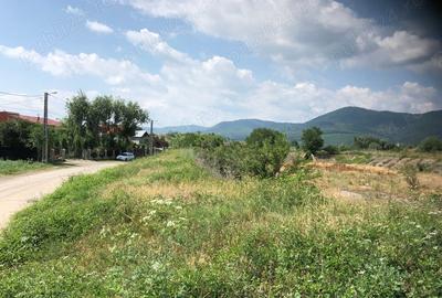 Teren de 5470 mp, în Ciritei