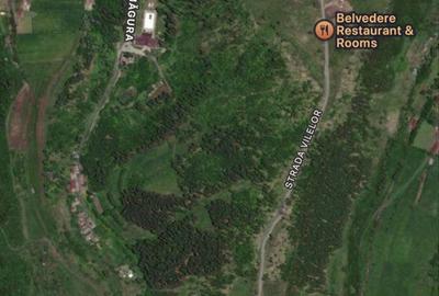 Spațiu comercial, în Zăpodea - 3