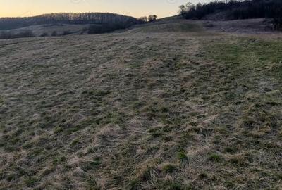Teren de 4090 mp, în Cozia - 3