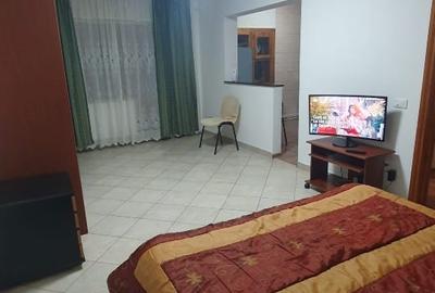 Garsoniera de inchiriart Bd Brailei - 2