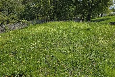 Casă în Urisiu de Sus - 2