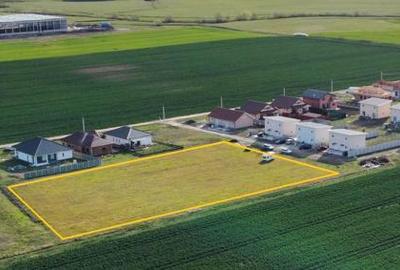 Sanandrei - teren cu destinatie: rezidentiala comerciala-spatii servicii - 1