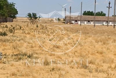 Ferma Pantelimon 10 hectare - 5