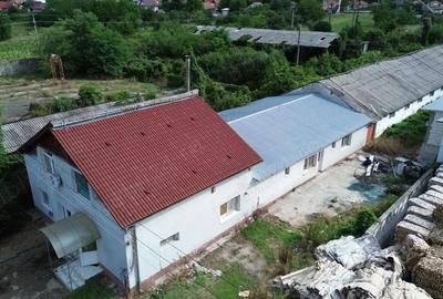 Casă cu Teren 4000 Mp în Central - 12