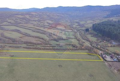 Teren de 5800 mp, în Purcăreni - 1