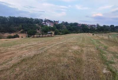 Spațiu comercial, în Central - 4