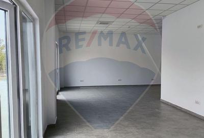 Spațiu comercial, de 572 mp, în Dragomirești-Vale - 16