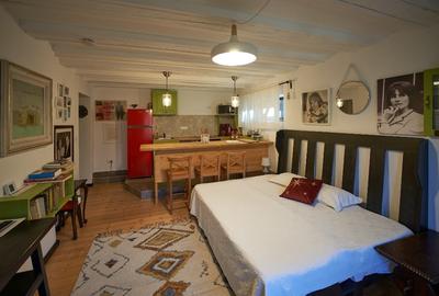 CHALET & SPA MAESTRUL SI MARGARETA /MARGARETA APARTMENT RENT/1300 EURO by WEEK - 12