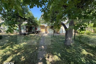 Casă cu 3 camere cu Teren 3095 Mp în Central - 4