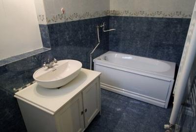 Apartament 1 camera in bloc interbelic langa Palatul Cotroceni Apartament 1 camera in bloc interbelic langa Palatul Cotroceni - 13