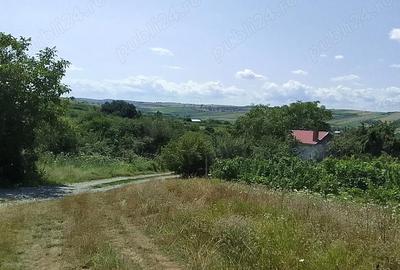 Teren de 6100 mp, în Cehal - 1