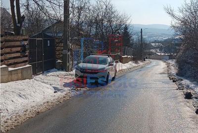 Teren de 3000 mp, în Bârnova - 10