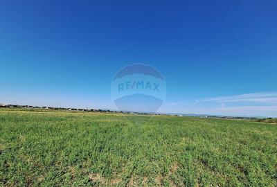 Teren intravilan Maracineni / Strada Manga - 3