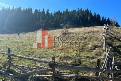 Teren Fundatica intravilan 4500 mp - 11