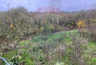 Casă  cu 3 camere de vânzare în zona Central - 1