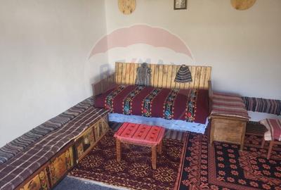 Vanzare casa la munte - zona turistica - Baia de Fier - 21