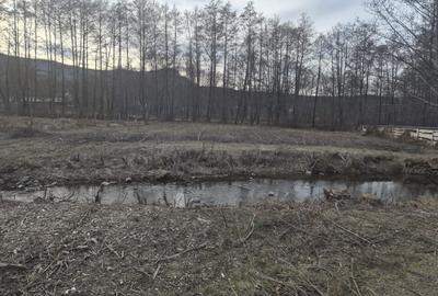 Spațiu comercial, în Săpânța - 1