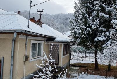 Casa 5 camere+ anexe cu teren 686mp - 9