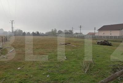 Teren intravilan 3300 mp apa, curent, posibilitate parcelare - 2