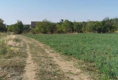 4 Loturi Teren de 440 mp  Domnesti-Teghes.+ 195mp Drum servitute =635 mp - 11