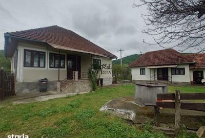 Casă cu 4 camere cu Teren 2651 Mp în Baia de Criș - 20