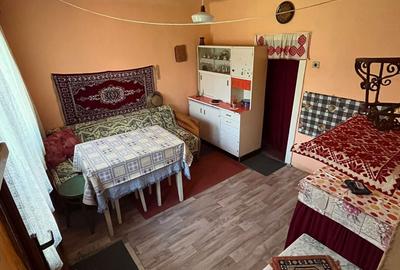 Casă cu 2 camere în Păsăreni - 7