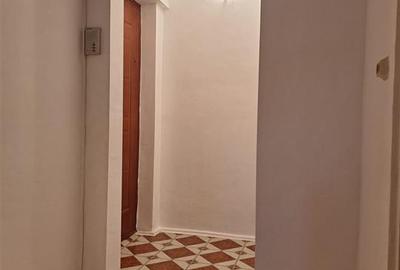 Apartament cu 2 camere semidecomandat în Gemenii - 4