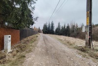 Teren intravilan Gheorgheni (str. Szarvas, zona km4) - 4