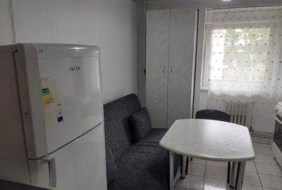 Apartament cu 2 camere decomandat în Dosu Bricii - 4