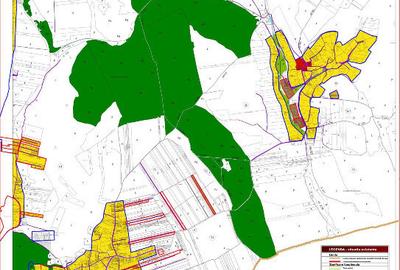 Proprietar Aroneanu Rediu Aldei teren 10500mp - 3