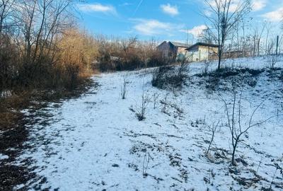 Casa de vanzare NISIPOASA-PLOPU,Jud Prahova - 9