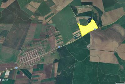 Teren de 480000 mp, în Horia - 5