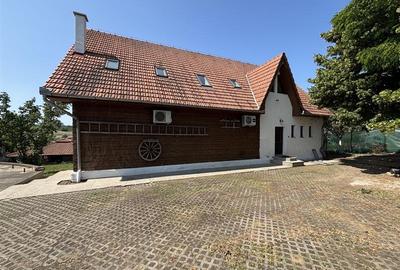 Casă cu 10 camere cu Piscina în Paleu - 4