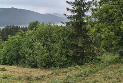 Teren de 930 mp, în Hangu - 5