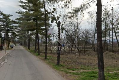 Gheraiesti-str. Lunca Bistritei-la asfalt-1.500 mp-intravilan-curti constructii - 9