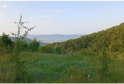 Spațiu comercial, în Central - 2