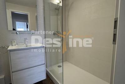 Apartament cu 2 camere decomandat, mobilat în Banu Manta - 9